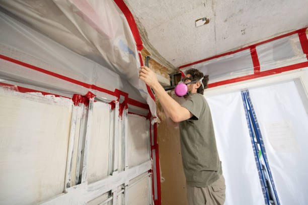 Best Residential Mold Inspection & Testing  in Bangs, TX