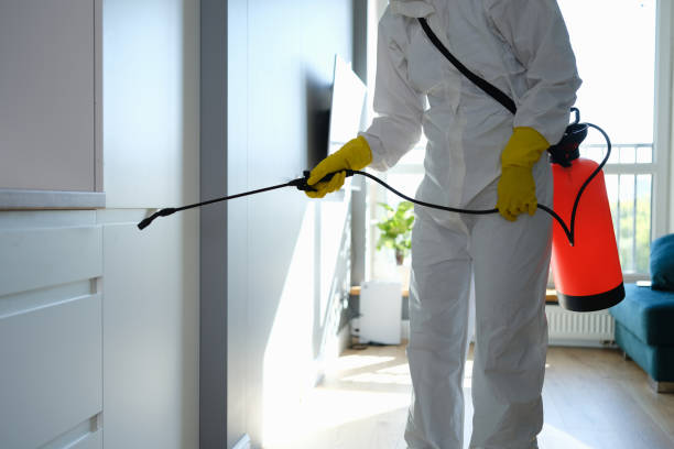 Best Biohazard Mold Removal  in Bangs, TX